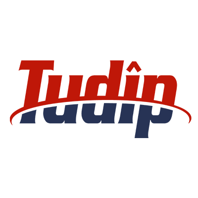 Tudip_logo