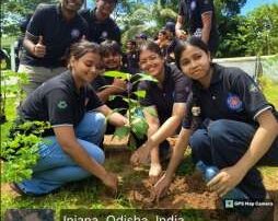 MEGA-PLANTATION-photo-3