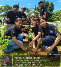 MEGA-PLANTATION-photo-3