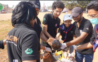 Pre-Bali-Jatra-photo-1